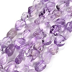 Natural Amethyst Beads Strands&nbsp;G-P568-C04-01