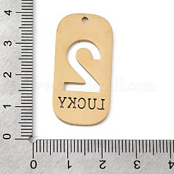 304 Stainless Steel Pendants&nbsp;STAS-D200-02C-G