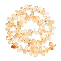Natural Citrine Beads Strands&nbsp;G-F821-A01-01