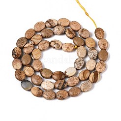 Natural Picture Jasper Beads Strands&nbsp;G-T142-30