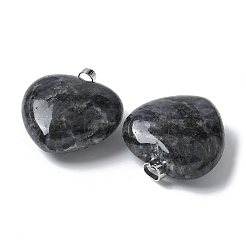Natural Larvikite Pendants&nbsp;G-A259-02P-01