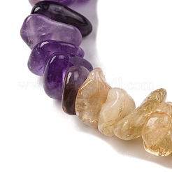 Natural Citrine & Amethyst Beads Strands&nbsp;G-L610-A06-A01