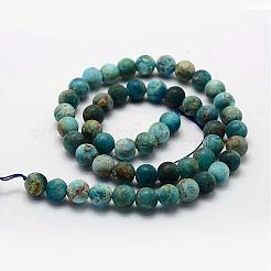 Natural Apatite Beads Strands&nbsp;G-K193-10mm-12