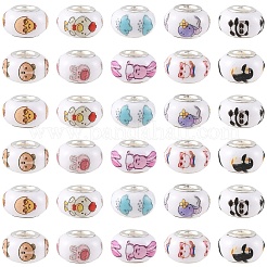 60Pcs 10 Styles Opaque Resin European Beads&nbsp;RPDL-YW0001-21
