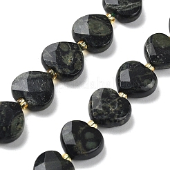 Natural Kambaba Jasper Beads Strands&nbsp;G-B044-B16-01