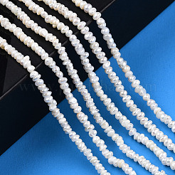 天然養殖淡水パールビーズ連売り  フラットラウンド  貝殻色  2.5~3.5x1.5~2mm  穴：0.5mm  約185~239個/連  13.50インチ〜13.86インチ（34.3~35.2cm）&nbsp;PEAR-N015-02C