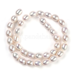 Natural Cultured Freshwater Pearl Beads Strands&nbsp;PEAR-U001-01B
