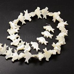天然トロチッドシェル/トロカスシェルビーズ連売り  鳥  乳白色  12x21x4mm  穴：1mm  約34個/連  39~40cm&nbsp;SSHEL-K014-01-A