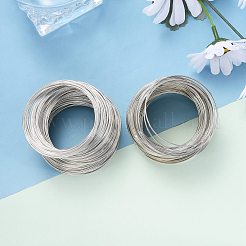 Steel Memory Wire&nbsp;TWIR-ZX005-1.0mm-P-NF