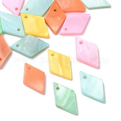 24Pcs 5 Styles Spray Painted Natural Freshwater Shell Pendants&nbsp;BSHE-FS0001-14