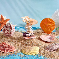 水槽の装飾用天然貝殻40個  ミックスカラー  38~68x30~63x4~10mm&nbsp;SHEL-PH0001-69A