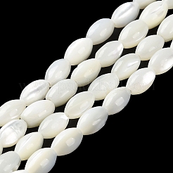 Natural Trochus Shell Beads Strands&nbsp;BSHE-E030-02A