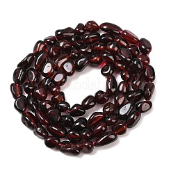 Nautral Garnet Beads Strands&nbsp;G-H330-B01