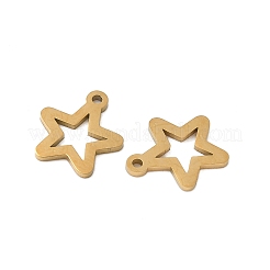 304 Stainless Steel Charms&nbsp;STAS-K306-06A-G