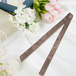 Polyester Striped Belts&nbsp;AJEW-WH20072-59B