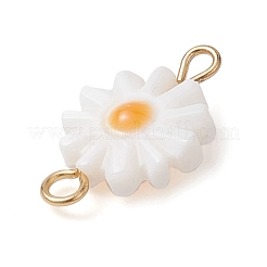 Natural Freshwater Shell Connector Charms&nbsp;PALLOY-JF02443