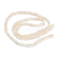 Natural Cultured Freshwater Pearl Beads Strands&nbsp;PA-CBAC463-24