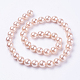 シェルパールビーズ連売り  ラウンド  ピンク  6mm  穴：1mm  約63個/連  15.7インチ&nbsp;X-BSHE-L035-6mm-I01-2