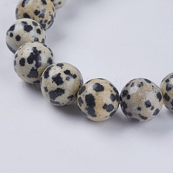 Natural Dalmation Jasper Beads Strands&nbsp;G-G515-10mm-06