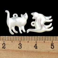 天然石ホワイトシェルペンダント  猫の形のチャーム  17x14.5x3mm  穴：1mm&nbsp;SSHEL-N038-05A-01