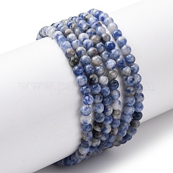 Natural Blue Spot Jasper Beads Strands&nbsp;G-Z116-A02-3mm