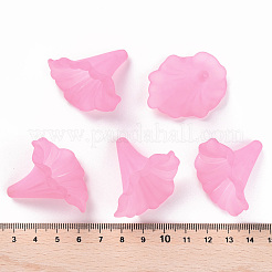 Transparent Acrylic Beads&nbsp;X-BSF796-C10