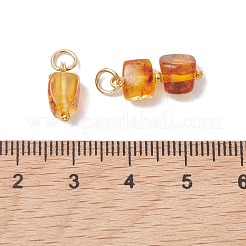 3Pcs 3 Styles Natural Amber Pendants&nbsp;PALLOY-JF05252