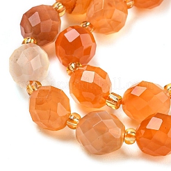 Natural Orange Botswana Agate Beads Strands&nbsp;G-N342-40