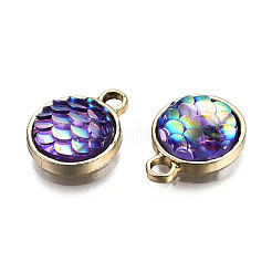 Alloy Resin Charms&nbsp;PALLOY-T056-24C