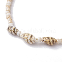 Glass with Natural Sea Shell Beads Anklet&nbsp;AJEW-AN00595