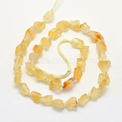Rough Raw Natural Citrine Beads Strands&nbsp;G-K202-21