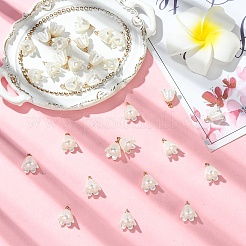 30Pcs Opaque Resin Imitation Pearl Charms&nbsp;FIND-YW0009-02