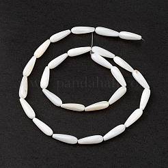 Natural Freshwater Shell Beads Strands&nbsp;SHEL-M018-09