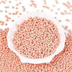 Baking Paint Glass Seed Beads&nbsp;SEED-N007-30G