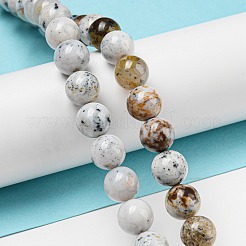 Natural Dendritic Opal Beads Strands&nbsp;G-R494-A16-03