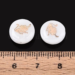 Natural Freshwater Shell Beads&nbsp;SHEL-N037-02B-G