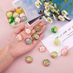 20Pcs 10 Styles Transparent Resin Cabochons&nbsp;CRES-SZ0001-37