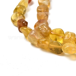 Natural Yellow Opal Beads Strands&nbsp;G-P497-01E-34B