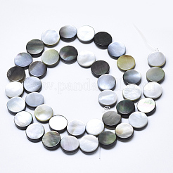 Natural Black Lip Shell Beads&nbsp;SSHEL-N036-034B-01