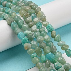 Natural Amazonite Bead Strands&nbsp;G-F465-59