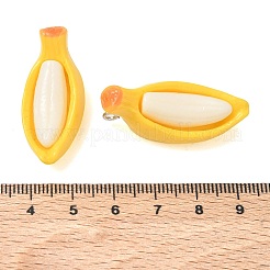 Opaque Resin Pendants&nbsp;RE-CBA278F-01