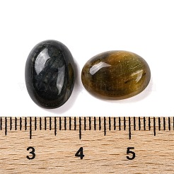 Natural Tiger Eye Cabochons&nbsp;G-B085-06B-04