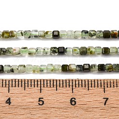 天然プレナイトビーズ連  キューブ  2.5x2.5x2.5mm  穴：0.5mm  約152個/連  14.96''（38センチメートル）&nbsp;G-RM241221-K3