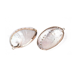 Electroplate Natural Paua Shell Pendants&nbsp;SSHEL-Q100-15KCG