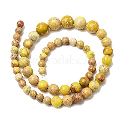Natural Imperial Jasper Graduated Beads Strands&nbsp;G-A323-C03-01D