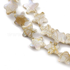 Drawbench Style Natural Freshwater Shell Beads Strands&nbsp;BSHE-E028-04