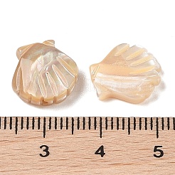 Natural Trochus Shell Carved Beads&nbsp;SHEL-P017-08B