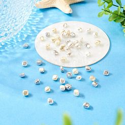 60Pcs 3 Colors Electroplated Shell Pearl Beads&nbsp;BSHE-TA0001-13