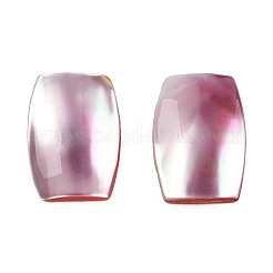 ナチュラル ターボ コーニュラス/トップ シェル カボション  アクリルと黄色のシェル  染め  長方形  ピンク  18x12.5x4~5mm&nbsp;SSHEL-N003-153B