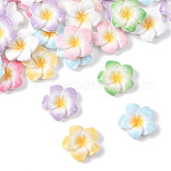 70色のプルメリアの花の不透明樹脂カボション7個  ミックスカラー  20~21x20~21x4.5~5mm  10個/カラー&nbsp;CRES-FS0001-32